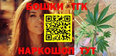 шишки Камышлов